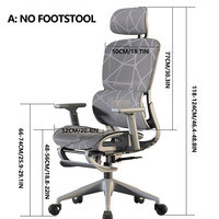 Nouvelle Arrivée Chaise Ergonomique de Bureau Super Confortable avec Support Lombaire Réglable en Maille, Capacité de Charge 150kg, Vente en Gros