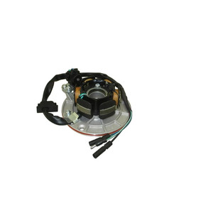 Sportsmoto พร้อมส่งชุดโรเตอร์แม่เหล็กไฟฟ้าสเตเตอร์ไม่มีระบบไฟสำหรับ YX 140cc 150cc 160cc <span class=keywords><strong>รถ</strong></span>วิบาก/ดูตี้ไบค์ SDG <span class=keywords><strong>GPX</strong></span> - Product Image 6