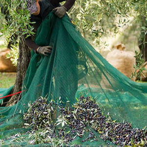 Máquina Recolectora de Aceitunas de Plástico, Red de Cosecha de Aceitunas Verde Oscuro para la Recolección de Aceitunas - Product Image 6