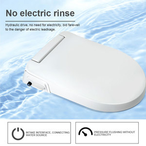Asiento de <span class=keywords><strong>inodoro</strong></span> bidé inteligente manual no eléctrico con presión de agua ajustable, agua fría y doble boquilla, económico - Product Image 4