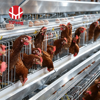Cage à poules pondeuses en acier galvanisé YiFeng, équipement avicole automatique, cage de type A pour poulets pondeuses