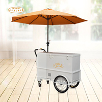 Nouveau chariot à glace avec réfrigérateur et système d'évier Spectacle de rue vente de boissons froides chariots à Popsicle