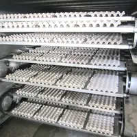 المعاد تدويرها ورقة إعادة تدوير النفايات ورقة علبة البيض خط الإنتاج آلة