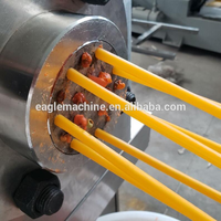 2024 nouveau projet Jinan aigle mangeable paille à boire faisant la machine 0086 18678800276