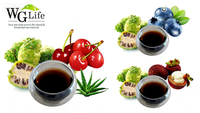 Jus de Noni fermenté naturellement de 8 à 12 semaines, origine zone volcanique de Hainan, boisson légère bien-être enrichie en plus de 200 nutriments actifs