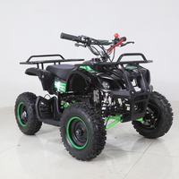 Quad ATV utilitaire miniature Tao Motor Rino 50 pas cher, 2 temps, 49 cm³, 4 roues pour enfants