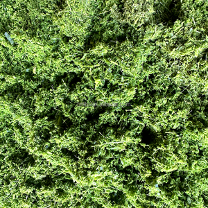 Liste de <span class=keywords><strong>prix</strong></span> des machines à hacher le foin pour usage agricole au Kenya, machine à hacher le foin, aliment pour animaux, hacheuse de foin électrique - Product Image 6