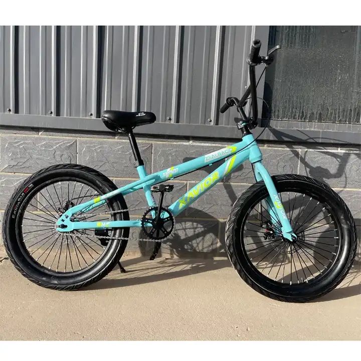 How to Choose the Best Freestyle BMX 20 Inch Bike: A Complete Buying Guide