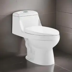 Ekonomik ucuz sifon tek parça tuvalet S tuzak 300mm Inodoro çift floş WC zemin tuvalet kase