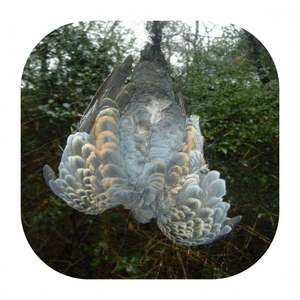 포도원 폴리에스터 멀티필라멘트 가든 MIST NET(110D/2PLY) 브리드 네트 - Product Image 1