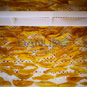 Gas Heating Fruit Drying Oven Dryer mango Fig Banana Strawberry Fruit Dehydrator Drying Machine - Product Image 2