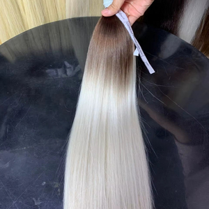 ผมต่อผมมนุษย์แบบตรงไล่สีระดับพรีเมียม22 24นิ้ว - Product Image 1