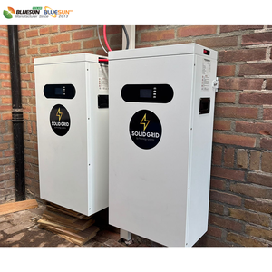 Batería de Iones de Litio de Bajo Voltaje para Sistemas Solares, Vertical, 48V 200Ah 300Ah, Precio de Batería de Litio para Sistemas Solares - Product Image 6