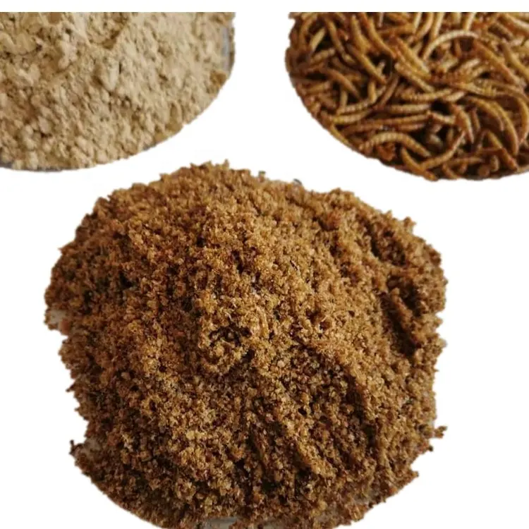 Pure Natural Dried Meal Worm Powder