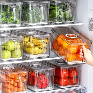 Chinese Manufacturer Kitchen Storage Box Food Storage Container Refrigerator Storage Boxes