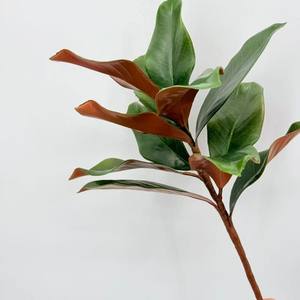 工厂人造柔软触感玉兰叶枝绿叶仿真玉兰茎 - Product Image 4