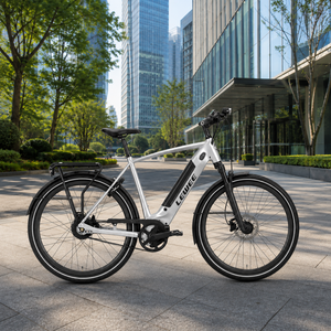 OEM ODM 28 Zoll Fahrrad 85Nm Mittelmotor 500Wh Riemen-CVT City Trekking E-Bike LW-EC27-C380 Bike 2 - Product Image 3