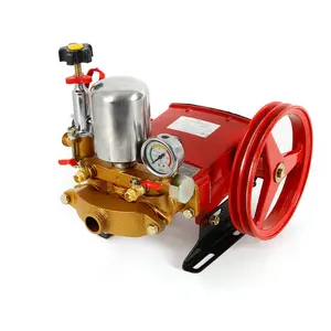 Factory Supplier Motor Power Agricultural Chemical Petrol Engine Pump