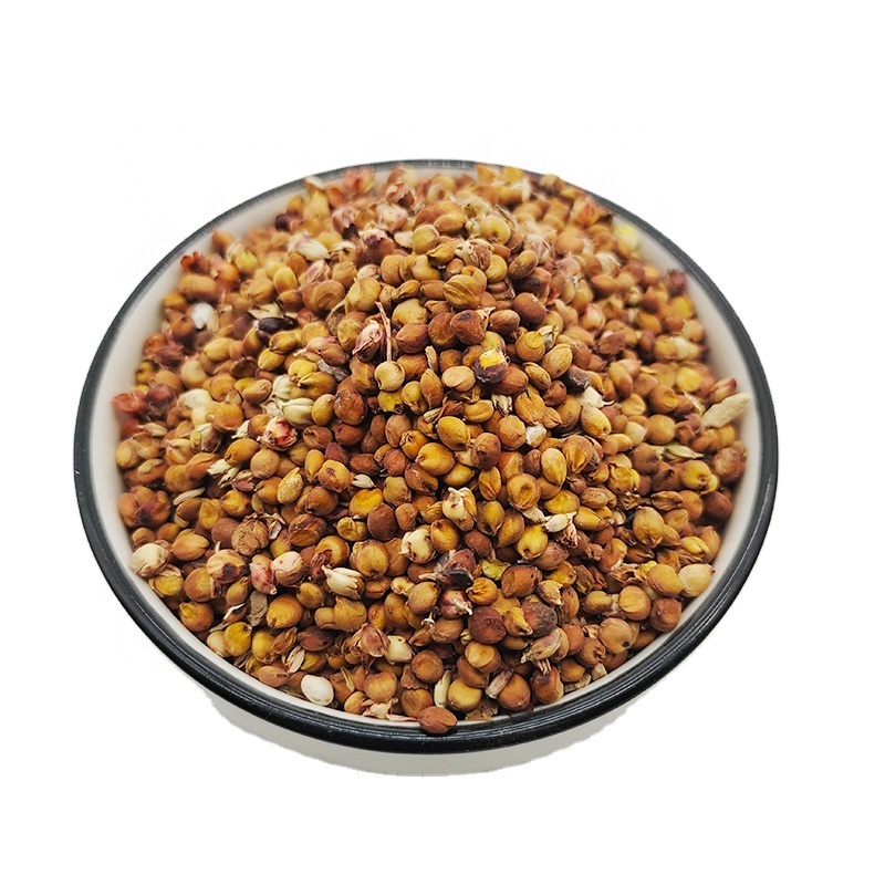Wholesale Dried High Quality Natural Sorghum