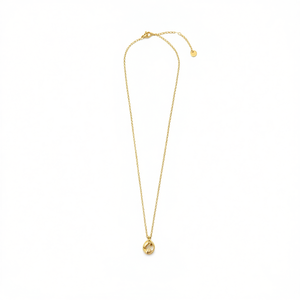 Collana con ciondolo Angelina in acciaio inossidabile placcato oro, catena a serpente minimalista 45488 per donna - Product Image 1