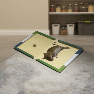 Piège à <span class=keywords><strong>souris</strong></span> et rats en gros : Plaque collante anti-nuisibles pour le contrôle des rongeurs - Product Image 5