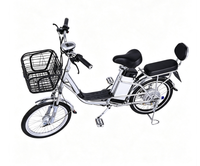 Vélo Électrique Urbain Double Siège 350W 48V de Haute Qualité pour Adultes – Vélo de Commutation Électrique pour 2 Personnes – Offre Spéciale