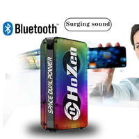 Altavoz Portátil HoXen Modelo Privado Dual de 8 Pulgadas, 60W RMS, Batería de 6000mAh, USB, TF/FM, Control Remoto, Micrófono Inalámbrico, RGB