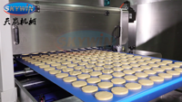 Skywin 2026 Nouvelle Machine à Biscuits Grande Capacité à Vendre, Déposeur Monocouleur, Machine Autonome pour Ligne de Production de Boulangerie