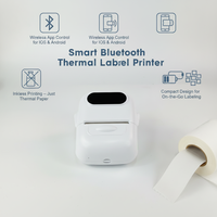 Mini imprimante d'étiquettes portable P50, sans encre, idéale pour les cuisines domestiques, les bureaux, les étiquettes de prix et les autocollants