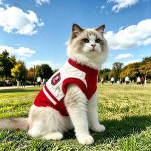 Maglione Spesso in Maglia <span class=keywords><strong>per</strong></span> Cani e Gatti, Abbigliamento <span class=keywords><strong>per</strong></span> Animali Domestici, anche <span class=keywords><strong>per</strong></span> Conigli - Product Image 3