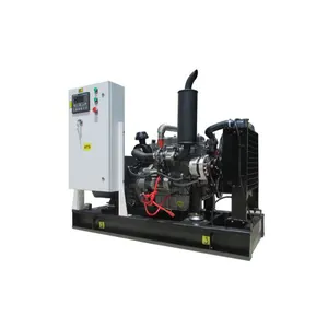 Generator Diesel tanpa sikat bingkai terbuka tipe senyap 220v 3 fase untuk penggunaan rumah dengan tegangan terukur 400v dan 110v