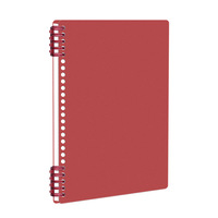 Carnet à spirale B5 à 26 trous, déchirable, ligné, givré, pour journal créatif et bloc-notes esthétique