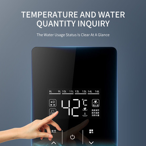 High Performance 13L 16L Stainless Steel Copper Heat Exchanger Wall-Mounted Household <strong>Gas</strong> Hot Water <strong>Heater</strong> Tankless Instant - Product Image 4