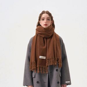 Bufanda de invierno para mujer al por mayor con borlas, chal de pashmina liso de color sólido, bufandas y chales de cachemira de lujo cálidos para mujer - Product Image 1