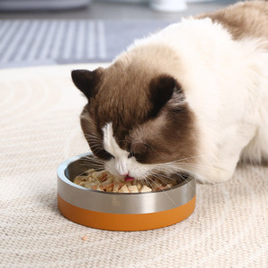 Bol pour animaux de compagnie en acier inoxydable, anti-renversement, alimentation lente pour chat, forme arrondie, taille M, 850 ml - Product Image 1