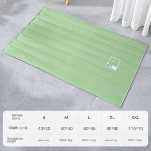 Vente en gros d'été RainbOW Gradient Pet Ice Nest PVC Imprimé Tapis de couchage pour <span class=keywords><strong>chiens</strong></span> <span class=keywords><strong>et</strong></span> <span class=keywords><strong>chats</strong></span> Protection contre le froid - Product Image 6