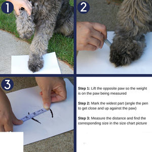 पालतू कुत्ते जूते जूते खेल पर्वत पहनने योग्य पालतू जानवर pvc सोल्स वाटरप्रूफ चिंतनशील कुत्ते जूते क्लासिक कुत्ते मोजे टिकाऊ 300 पीसी - Product Image 4