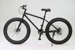 Vélo de neige hybride 12 vitesses, couleurs personnalisables, logo, pneus antidérapants, vente en gros, vélo de neige de sécurité et de fitness - Product Image 2