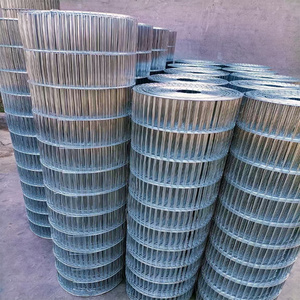 Treillis métallique soudé en métal à long trou galvanisé à chaud pour <span class=keywords><strong>cage</strong></span> à oiseaux - Product Image 3