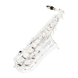 Saxophone alto professionnel SLADE Brand Factory, argenté, plaqué argent, instrument à vent en laiton, clés en argent Eb - Product Image 3