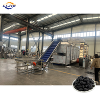 Machine de séchage industrielle à bande transporteuse continue pour une déshydratation efficace des algues, des épinards et du manioc