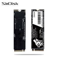 Simdisk NVME Pcie 3.0 256GB 512GB 1TB Interface Solid State Drive Disco Duro M.2 2280 M2 SSD untuk Laptop