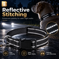 Collier pour chien ZHENYI personnalisé, prix bas, haute qualité, réglable, réfléchissant, en nylon