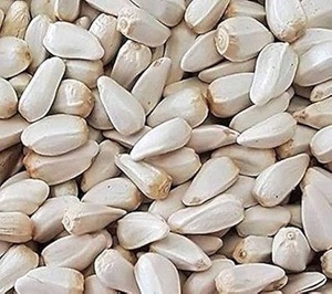 Wholesale Price Export Dried Safflower Seeds Kernels Raw Bulk Nutritional Snack Export Ready - Product Image 4