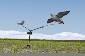 ピジョンマグネットロータリー機デコイピジョンシューティングデコイ強力調整可能 - Product Image 5