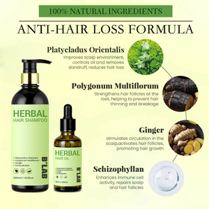 Shampooing et revitalisant pour la croissance des cheveux à base de plantes réparation au gingembre botanique traitement Anti-perte de cheveux huile plus épaisse ensemble de soins pour la repousse des cheveux - Product Image 2
