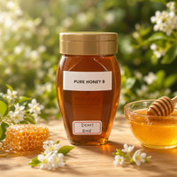 Pot en plastique transparent de 500 g de miel naturel avec couvercle doré, miel pur doré pour le thé, le petit-déjeuner, la pâtisserie et la restauration