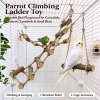 Échelle à corde flexible pour oiseaux, jouet d'escalade en corde de chanvre pour perroquets, accessoire de cage pour le jeu et la décoration des petits perroquets