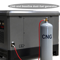 21KW Zweifuel-Generator CNG 18KW Benzin-Generator mit Elektrostart Wassergekühlter Generator für Einkaufszentren 35L Kraftstofftank
