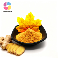 Poudre de Curcuma Naturelle en Gros, Extrait de Curcuma Longa, Épice Alimentaire et Matière Première d'Extrait Végétal